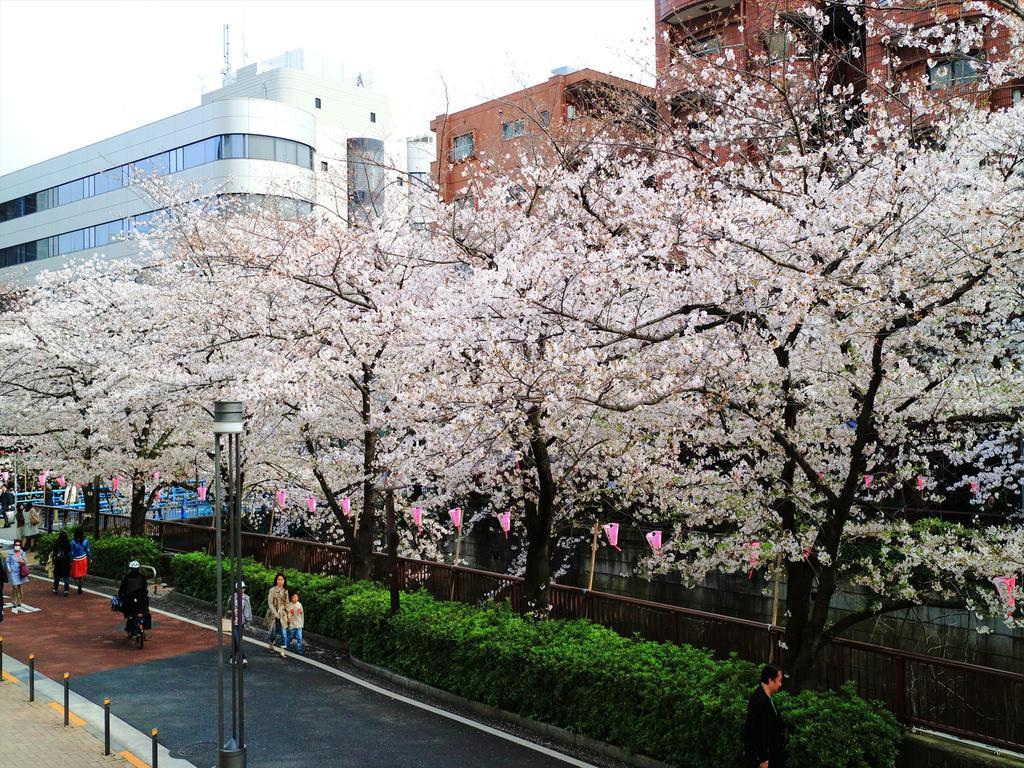 Апартаменты Coto Tokyo Shibuya 2 Экстерьер фото